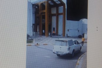 KYK yurdundaki küpeli köpekler toplandı