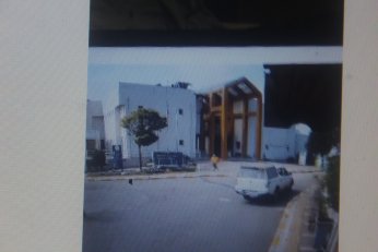 KYK yurdundaki küpeli köpekler toplandı