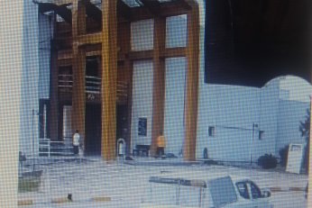 KYK yurdundaki küpeli köpekler toplandı