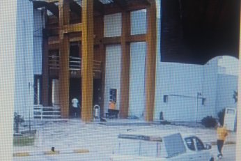 KYK yurdundaki küpeli köpekler toplandı