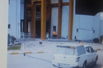 KYK yurdundaki küpeli köpekler toplandı