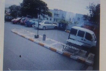 KYK yurdundaki küpeli köpekler toplandı