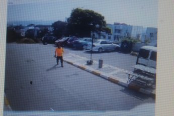 KYK yurdundaki küpeli köpekler toplandı