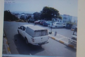 KYK yurdundaki küpeli köpekler toplandı