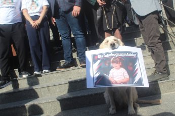 Ela’nın katiline 5 yıl 10  ay hapisle evinden tahliye