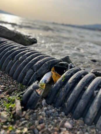 Çevrenin Genç Sözcüleri  Kirazdere’yi taradı