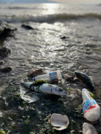 Çevrenin Genç Sözcüleri  Kirazdere’yi taradı