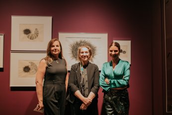 Kurtiç’den Bir Denizkestanesinin Anıları