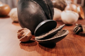 Kurtiç’den Bir Denizkestanesinin Anıları