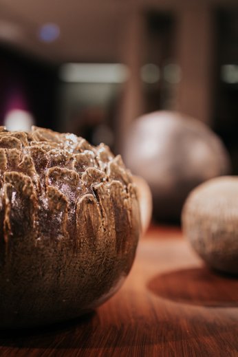 Kurtiç’den Bir Denizkestanesinin Anıları