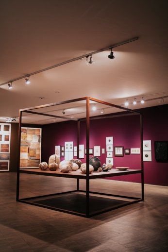 Kurtiç’den Bir Denizkestanesinin Anıları