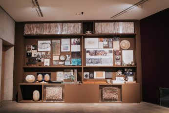 Kurtiç’den Bir Denizkestanesinin Anıları