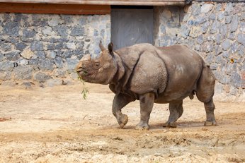 FYZoo'da hafta içi indirimi 