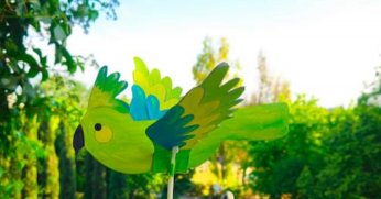 FYZoo’da Papağan Günü 1-2 Haziran’da 