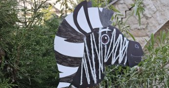 FYZoo’da sınırsız eğlence 