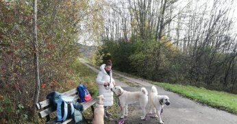 Bu sefer suçlanan da suçladı