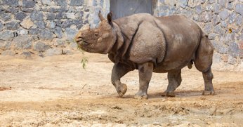 FYZoo'da hafta içi indirimi 