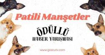 Gözcü’den patiler için  haber yazma yarışması