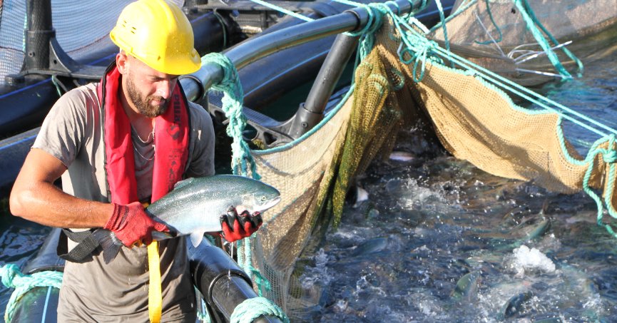 Somonda ihracat hedefi  1 milyar doların üstü