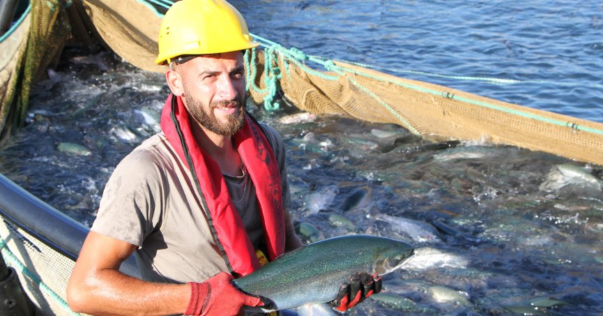 Bu filmin başrolünde  Türk somonu oynadı