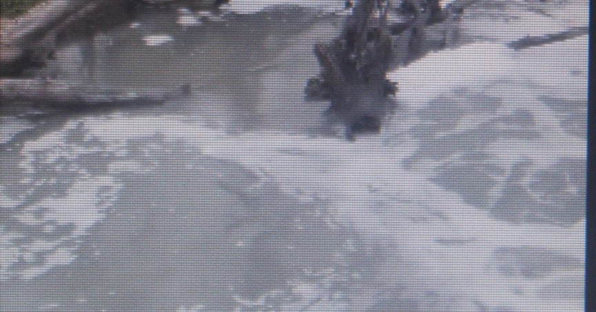 İki hayvan öldü: Kocagöl Deresi gitti gidiyor!