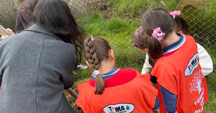 Okudukları okulun bahçesinde dikili ağaçları var