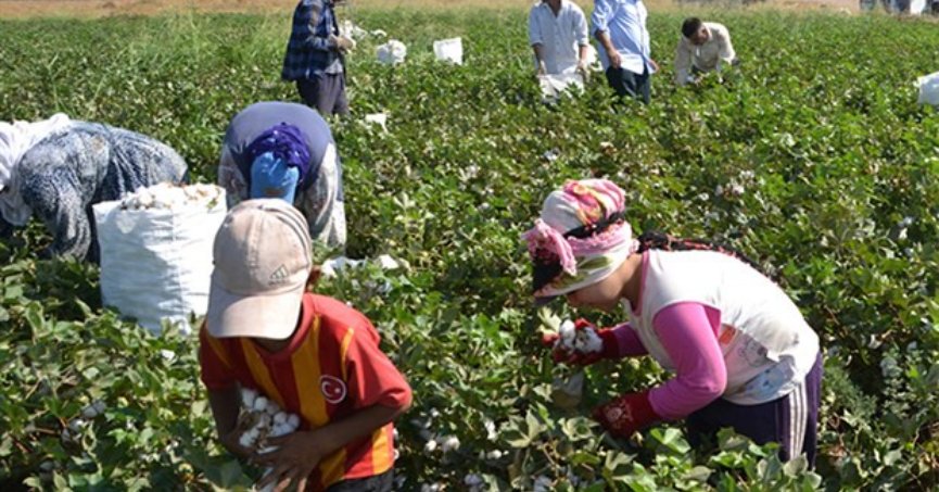 13 yılda 852 çocuk öldü. Başlama yaşı 16 olmalı