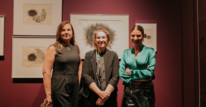 Kurtiç’den Bir Denizkestanesinin Anıları