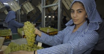 Diyabetli dostu üzüm sofralarda yerini aldı