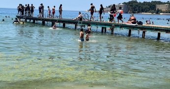 Bayramoğlu Plajı'na mavi bayrak temizliği mümkün mü?