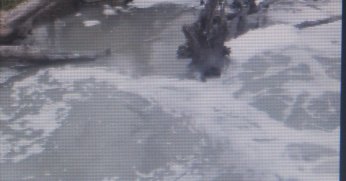 İki hayvan öldü: Kocagöl Deresi gitti gidiyor!