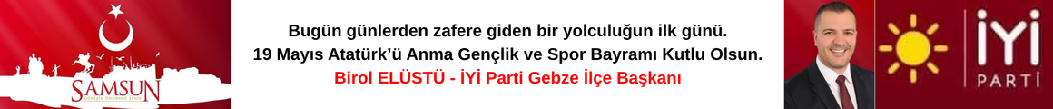 BİROL ELÜSTÜ 