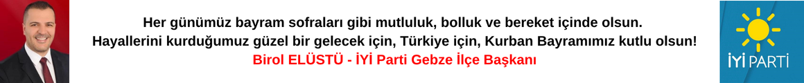 Birol Elüstü